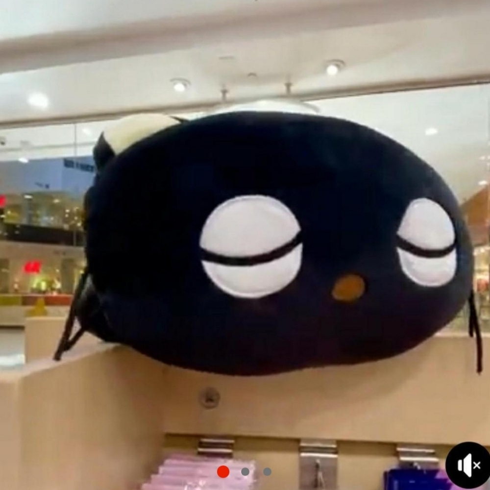 MAJOR ISO: 2021 sleeping chococat sanrio plush mochi